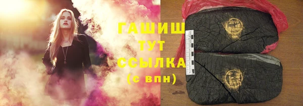 PSILOCYBIN Алзамай