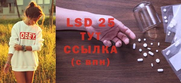 PSILOCYBIN Алзамай