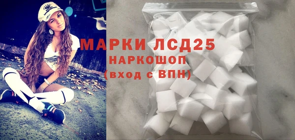 PSILOCYBIN Алзамай